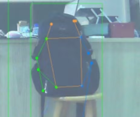一只被误认为是人的书包